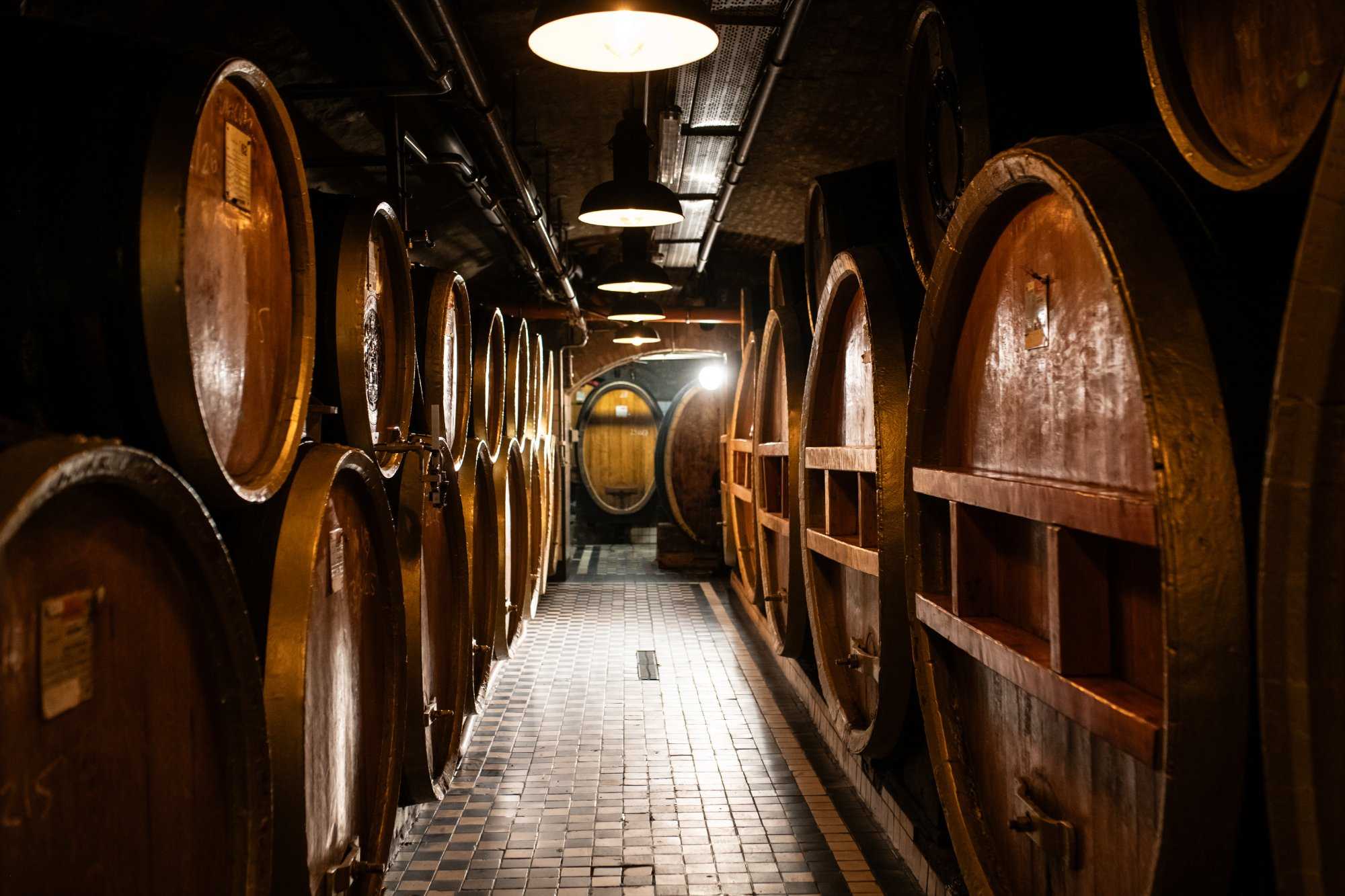 House of Unicum